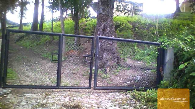 Entrada (vista previa)