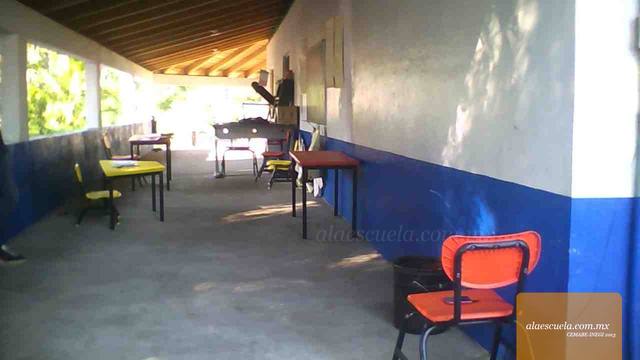 Entrada (vista previa)