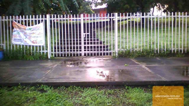 Entrada (vista previa)