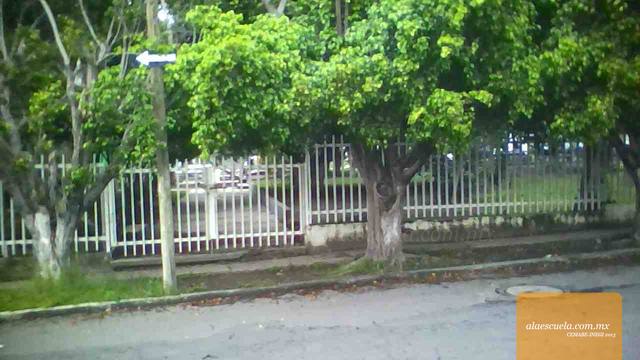 Entrada (vista previa)