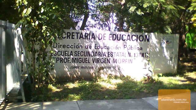 Entrada (vista previa)