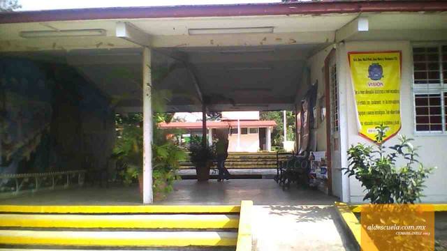 Entrada (vista previa)