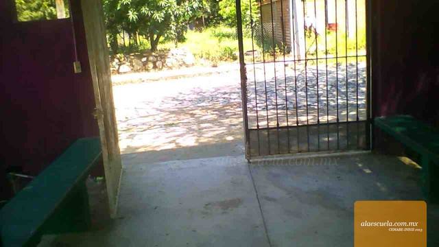 Entrada (vista previa)