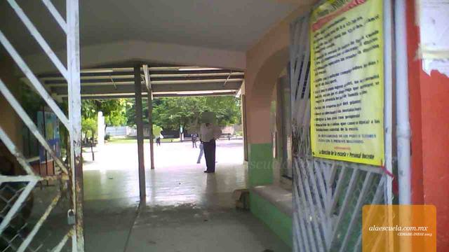 Entrada (vista previa)