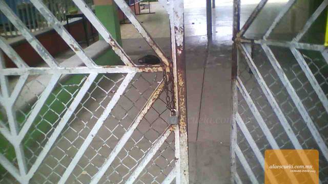 Entrada (vista previa)