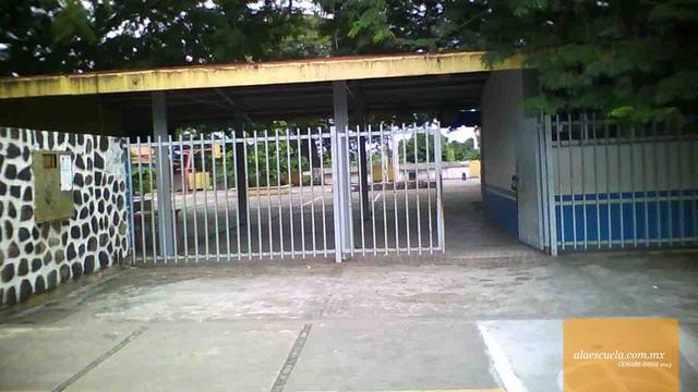 Entrada (vista previa)