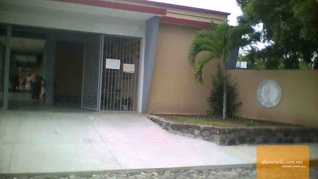 Entrada (vista previa)