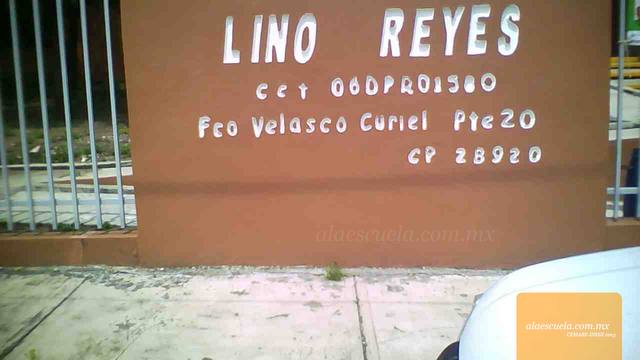 Entrada (vista previa)