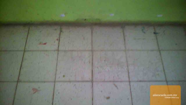 Aulas (vista previa)