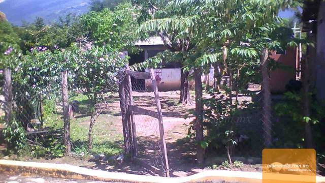 Entrada (vista previa)