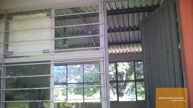 Entrada (vista previa)