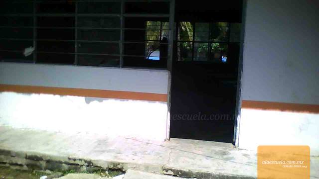 Entrada (vista previa)