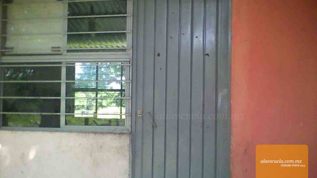 Entrada (vista previa)