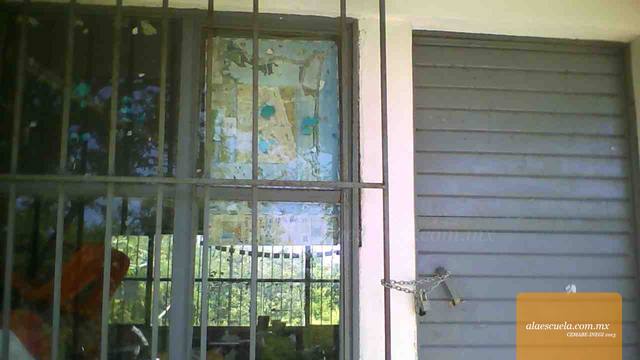 Entrada (vista previa)