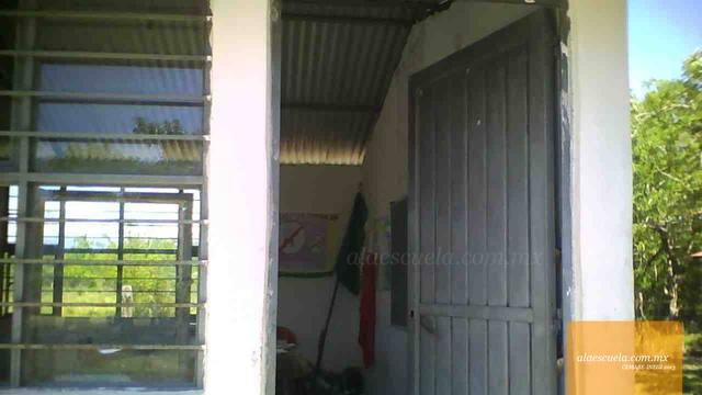 Entrada (vista previa)