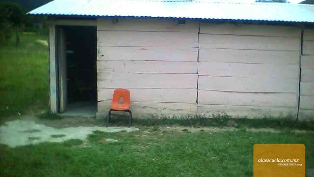 Entrada (vista previa)