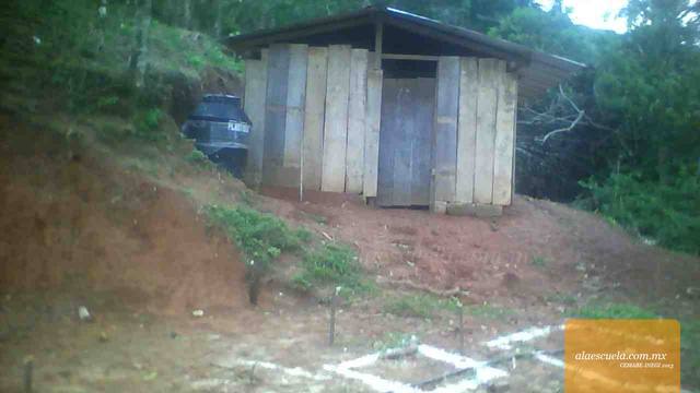 Entrada (vista previa)