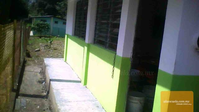 Entrada (vista previa)