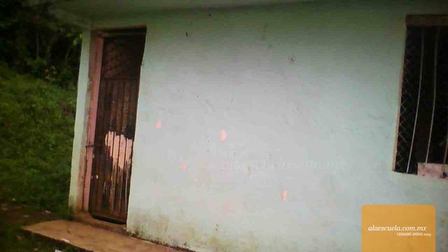 Entrada (vista previa)