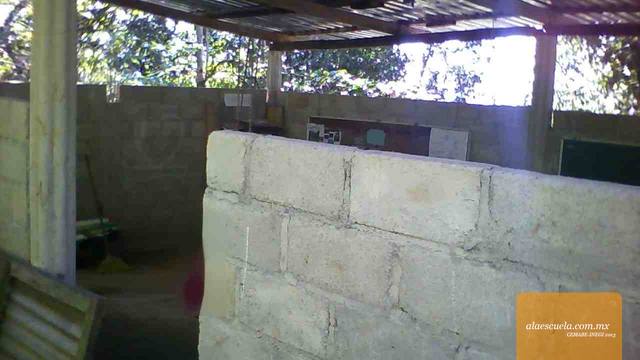 Entrada (vista previa)