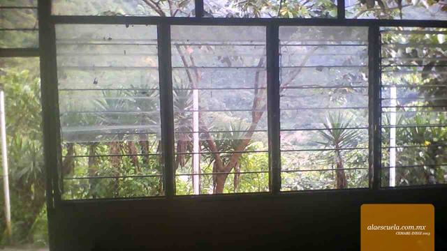 Aulas (vista previa)