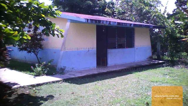 Entrada (vista previa)