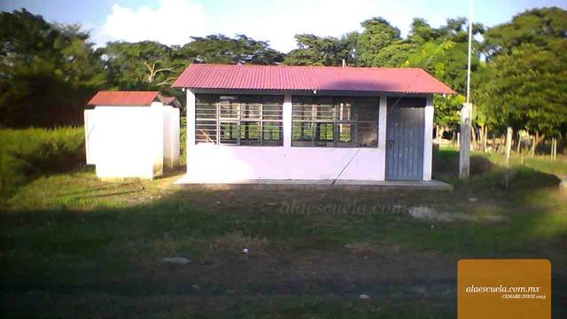 Entrada (vista previa)