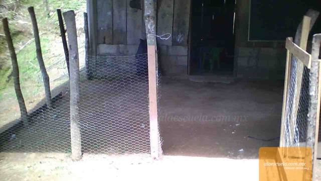 Entrada (vista previa)