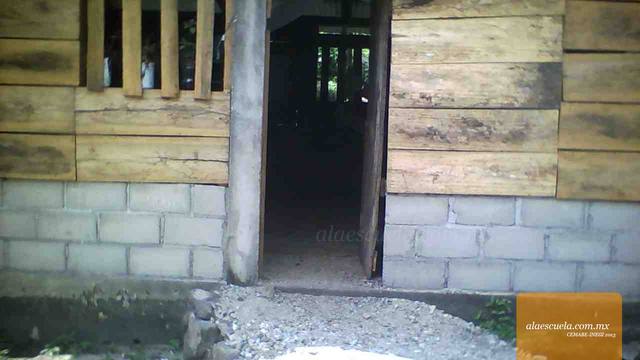 Entrada (vista previa)