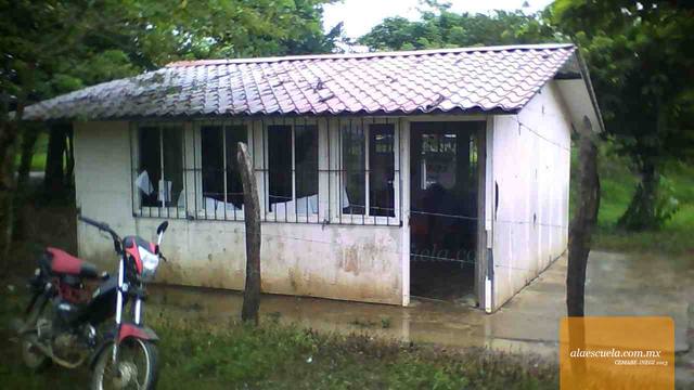 Entrada (vista previa)