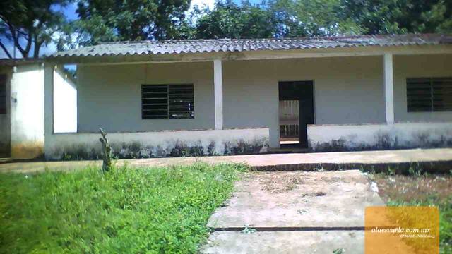 Entrada (vista previa)