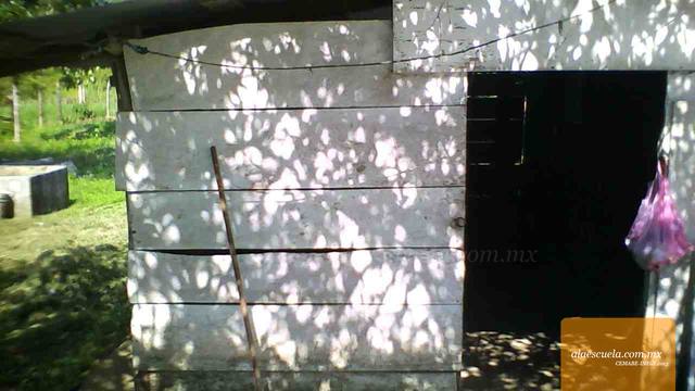 Entrada (vista previa)