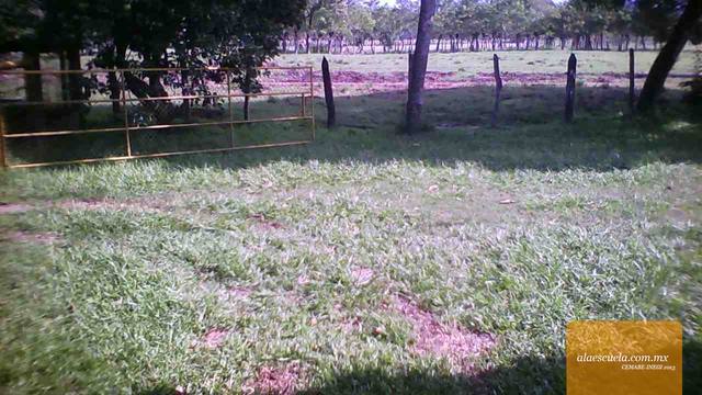 Entrada (vista previa)