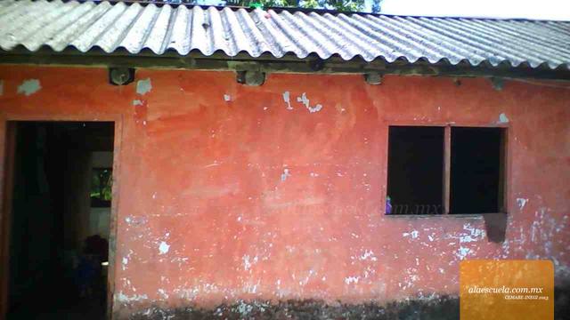 Entrada (vista previa)