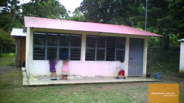 Entrada (vista previa)