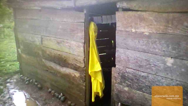 Entrada (vista previa)