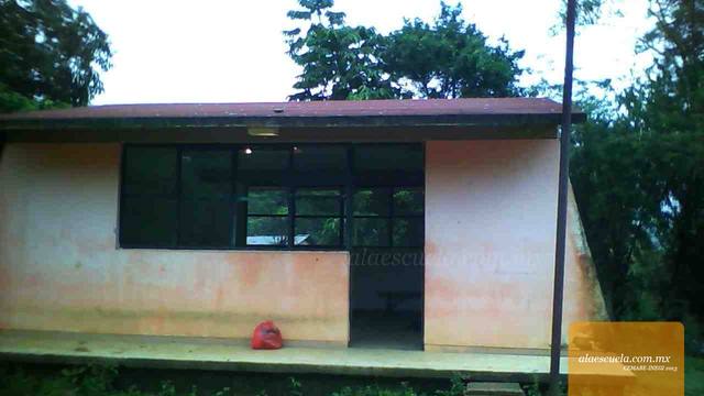 Entrada (vista previa)