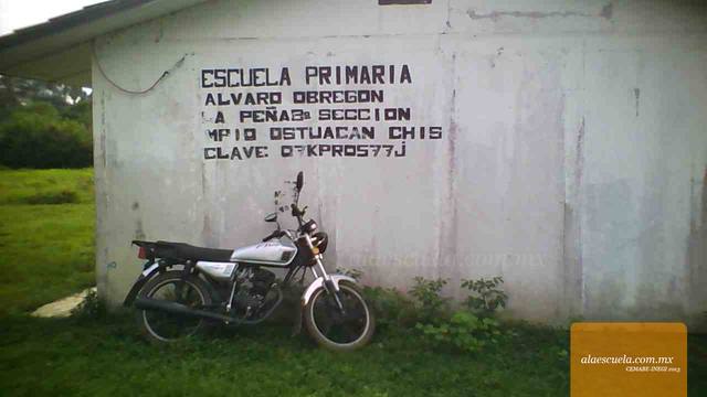 Entrada (vista previa)