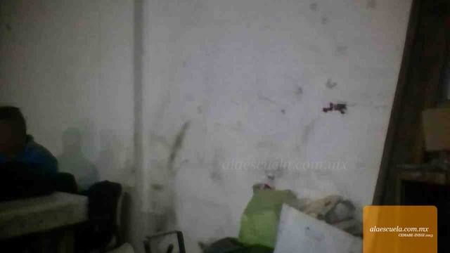 Entrada (vista previa)