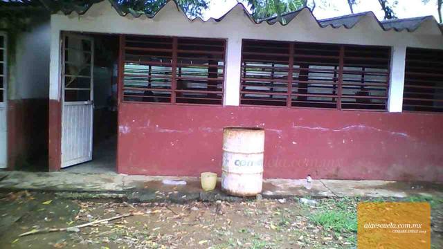 Entrada (vista previa)