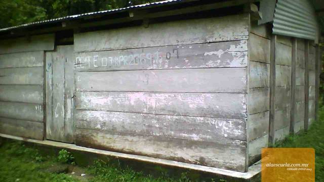 Entrada (vista previa)