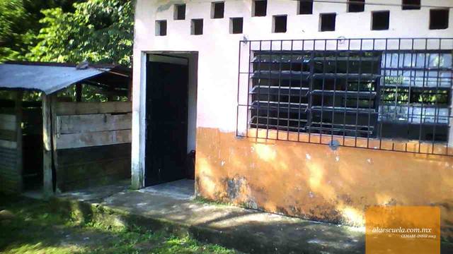 Entrada (vista previa)