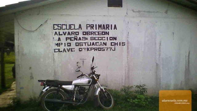 Entrada (vista previa)