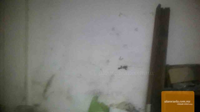 Aulas (vista previa)