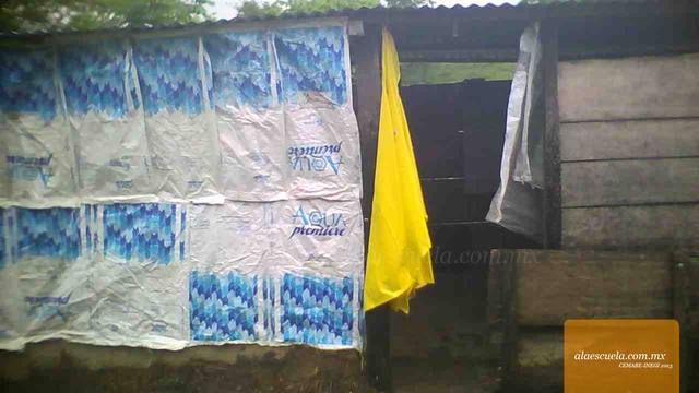 Entrada (vista previa)