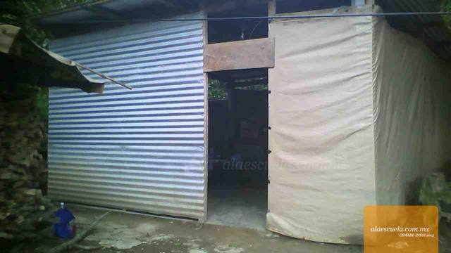 Entrada (vista previa)