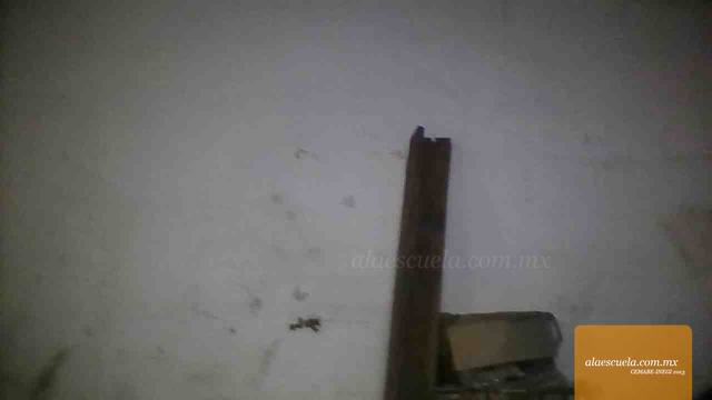 Entrada (vista previa)