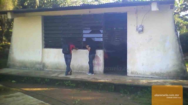 Entrada (vista previa)