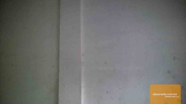 Entrada (vista previa)