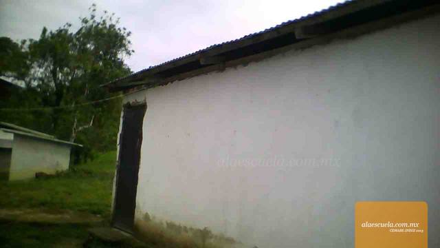 Entrada (vista previa)